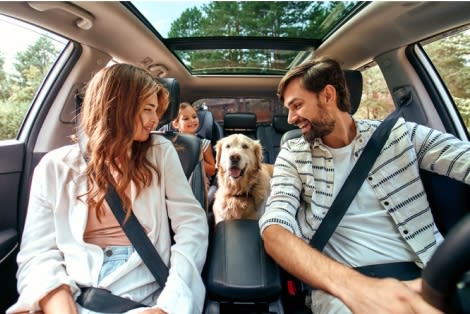 car insurance