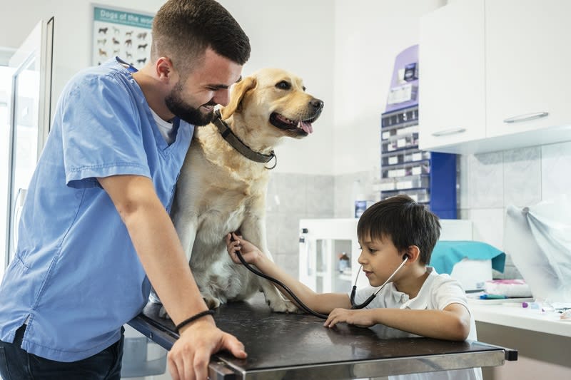Pet insurance