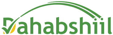 Dahabshiil