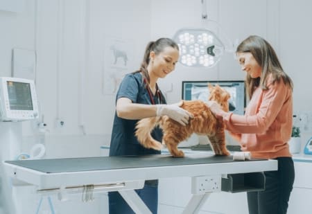 The Hidden Costs of Pet Parenting: What Every Owner Should Know