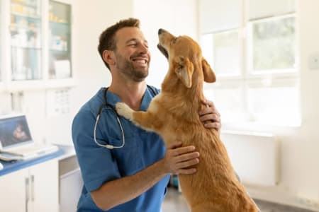 Does Pet Insurance Cover Vet Visits? Here’s What to Know