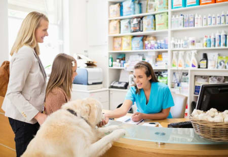 Pet Insurance That Pays Vets Directly: Simplify Your Vet Visits