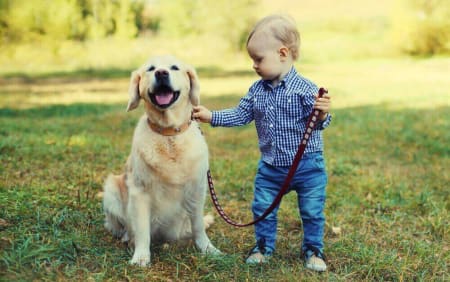 Pet Owners Underestimate the Cost of Pet Ownership: Don't Be One of Them