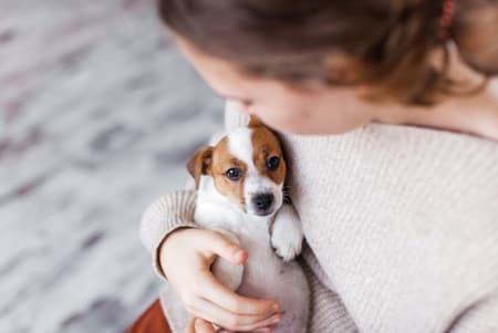 The Ultimate Pet Insurance Checklist for New Puppy Owners