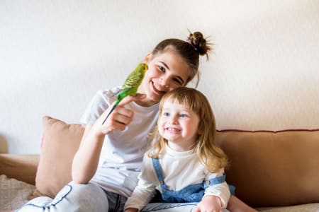 Exotic Pet Insurance: Our Ultimate Guide