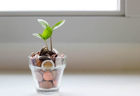 What Is Overdraft Protection and How Does It Work?