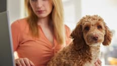 A woman sitting with her pet and wondering if pet insurance is worth it. 
