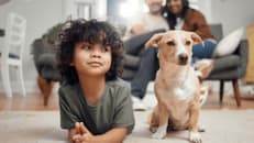 What Pet Insurance Covers