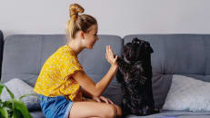 How Much Does Pet Insurance Cost?
