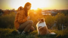 Best Wellness Plans for Pets