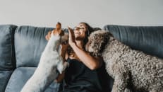 Best Pet Insurance for Multiple Pets