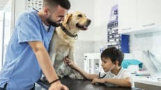  Care for your pet with insurance