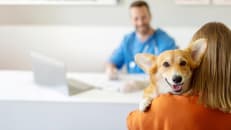 More Than Half of Pet Owners Have Skipped Vet Care