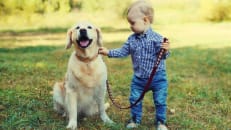 Pet Owners Underestimate the Cost of Pet Ownership