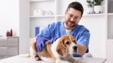 Vet Costs Are Rising Faster Than General Inflation — Are You Ready?