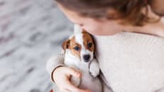 Pet Insurance for Puppies