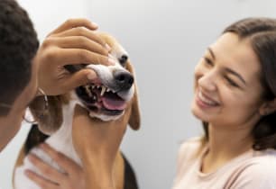 A woman learning about pet insurance annual limits. 