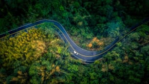 The Ultimate Guide to Car Insurance