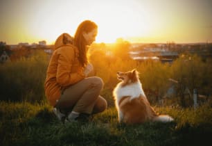 Best Wellness Plans for Pets