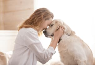 Best Pet Insurance for Older Dogs