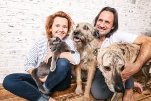 Top quality pet insurance should be affordable
