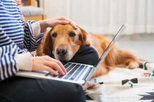 Understanding Pet Insurance Reimbursement & Claims