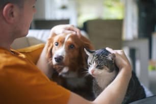 How to Find Affordable Pet Insurance