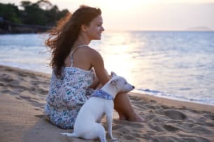 Best Pet Insurance in Florida