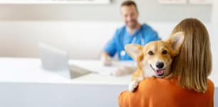 More Than Half of Pet Owners Have Skipped Vet Care