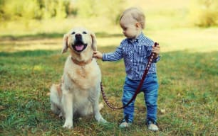 Pet Owners Underestimate the Cost of Pet Ownership