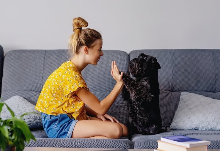 a woman sitting on a couch petting a black dog