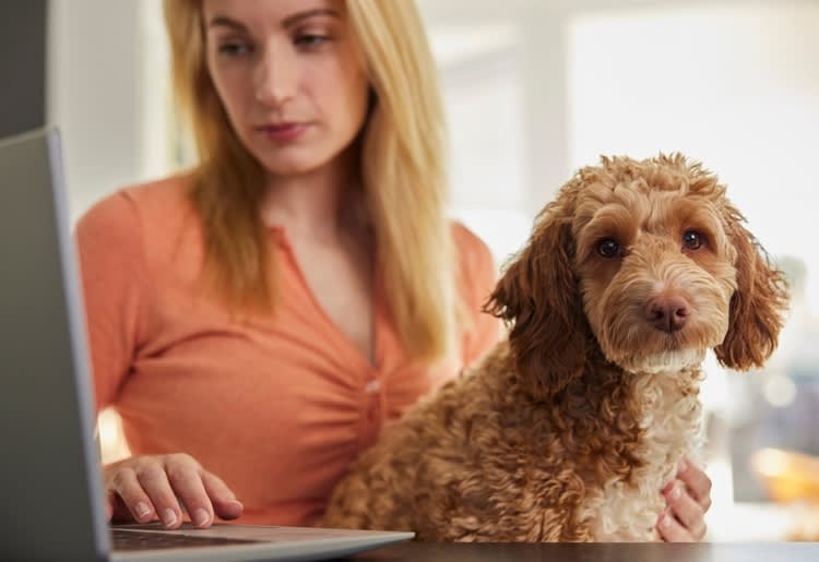 A woman sitting with her pet and wondering if pet insurance is worth it. 