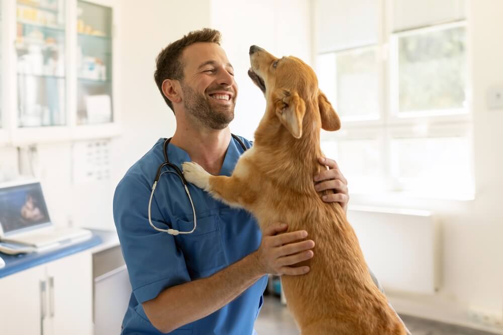 Does Pet Insurance Cover Vet Visits?