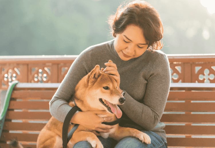 Best Pet Insurance for Dogs of 2025