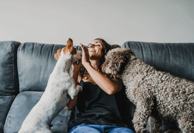 Best Pet Insurance for Multiple Pets of 2025