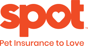 spot-pet-insurance