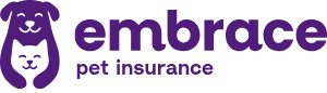 embrace logo image