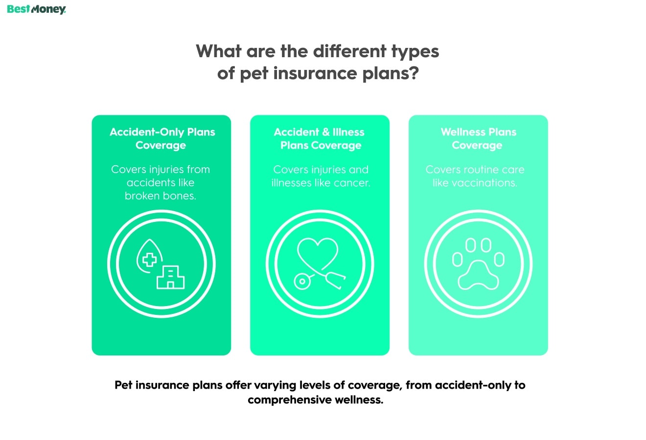 What Does Pet Insurance Cover?