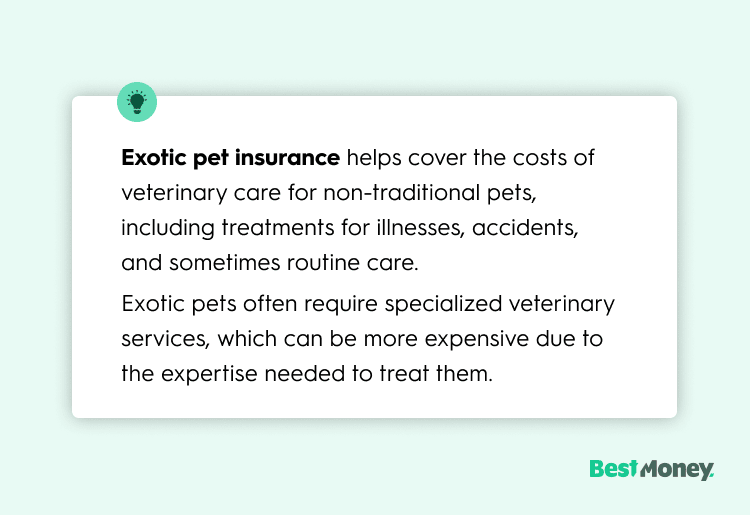 Exotic pet insurance helps cover the costs of veterinary care for non-traditional pets, including treatments for illnesses, accidents, and sometimes routine care. Exotic pets often require specialized veterinary services, which can be more expensive due to the expertise needed to treat them.