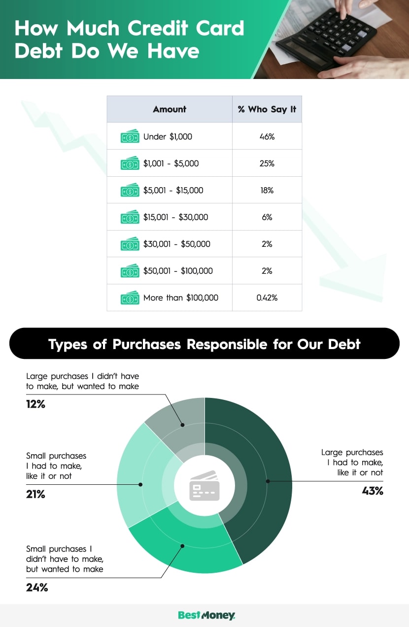 A table showing a breakdown of credit card debt by dollar amount, and a pie chart showing the types of spending that led to the debt
